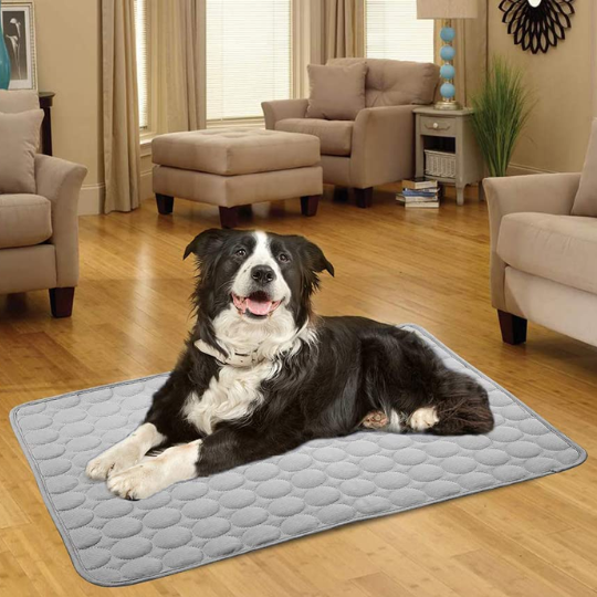 FurChill™ Koelmat voor Honden & Katten