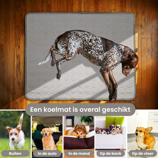 FurChill™ Koelmat voor Honden & Katten
